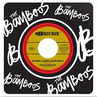 Bamboos - Nothing I Wanna Know About - Vinyl Record Lp - G3Z