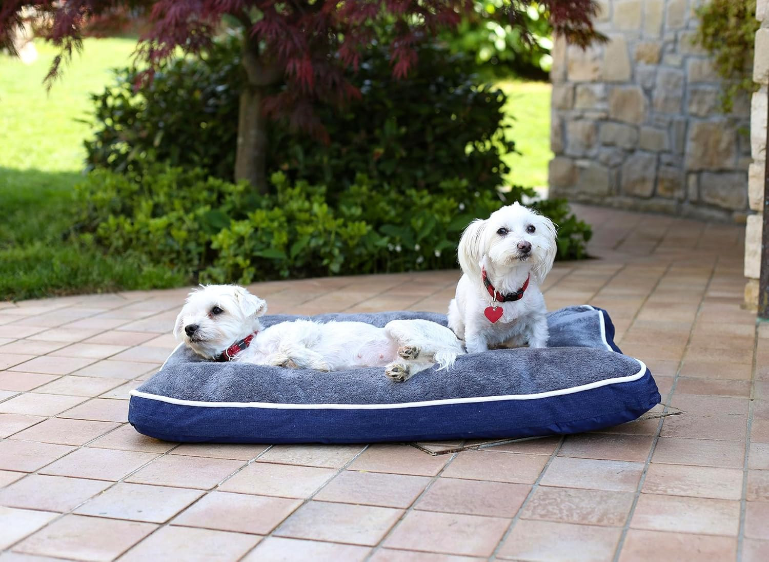 Cuscino Cane Sfoderabile 4 Stagioni 66x49 Grigio Scuro Impermeabile