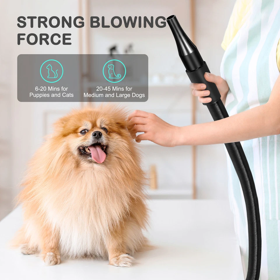 Secador de pelo silencioso para aseo de mascotas 2400 W soplador soplador 3,2 HP para perros y gatos Foto 3 de 4