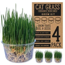 Organic Cat Grass Premium Grow Kit 4 Pack | Non GMO Mixed Heirloom Seeds | Wh...