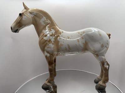 Peter Stone Equilocity standing Draft Appaloosa DAH 2014 