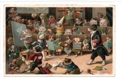 DIE HUNDESCHULE: Unsignierte Hundepostkarte von Louis Wain (C87386)