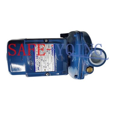 ONE NEW PEDROLLO CP130 water pump