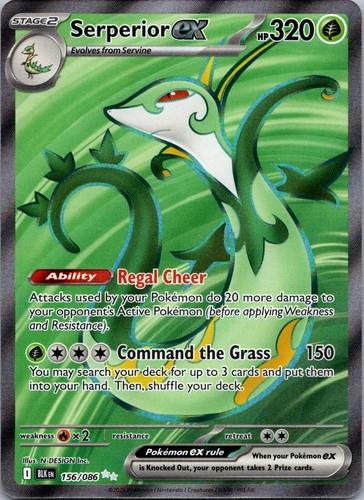 Serperior ex 156/086 Holo Ultra Rare Black Bolt Pokemon Near Mint