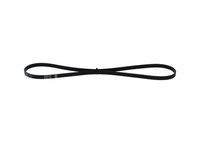 Keilrippenriemen Bosch 1 987 947 886 FüR Lancia Nissan Fiat Siena Bravo Strada