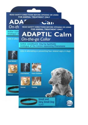 calming cone for dogs