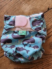 Totsbot Reusable Swim Nappy Swimming Pool Whale Blue Colourful Size 2