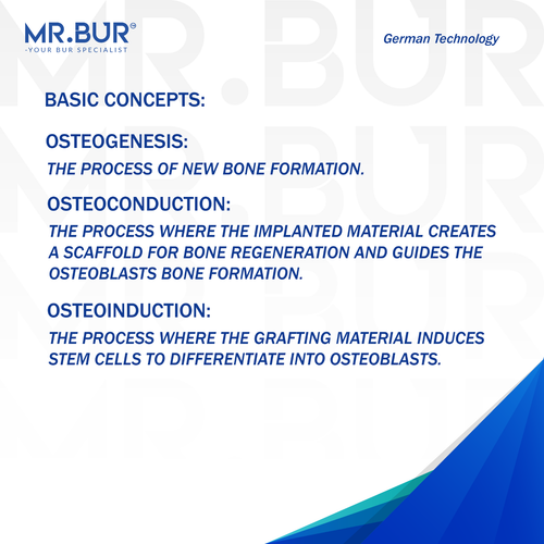 Degranulation Round Ball Cutter Burs Kit 1.0mm, 2.5mm,3.0mm,3.5mm | MR.BUR - Picture 6 of 7