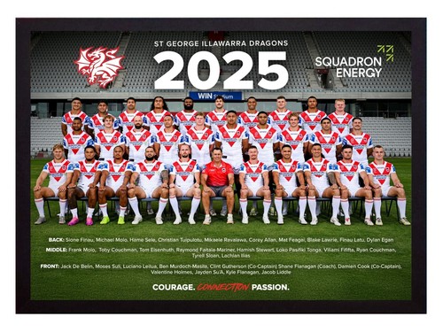 Framed 2025 St George Dragons NRL Rugby League Football Poster - 62cm x 44.5cm - Picture 1 of 4
