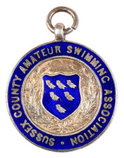 Vintage Old Sussex County Amateur Swimming Association Enamel Prize Award Medal