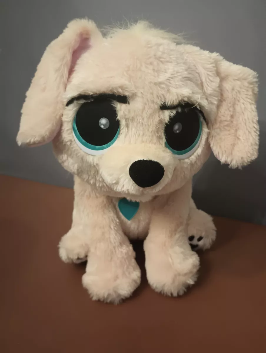 Toy rescue best sale pets