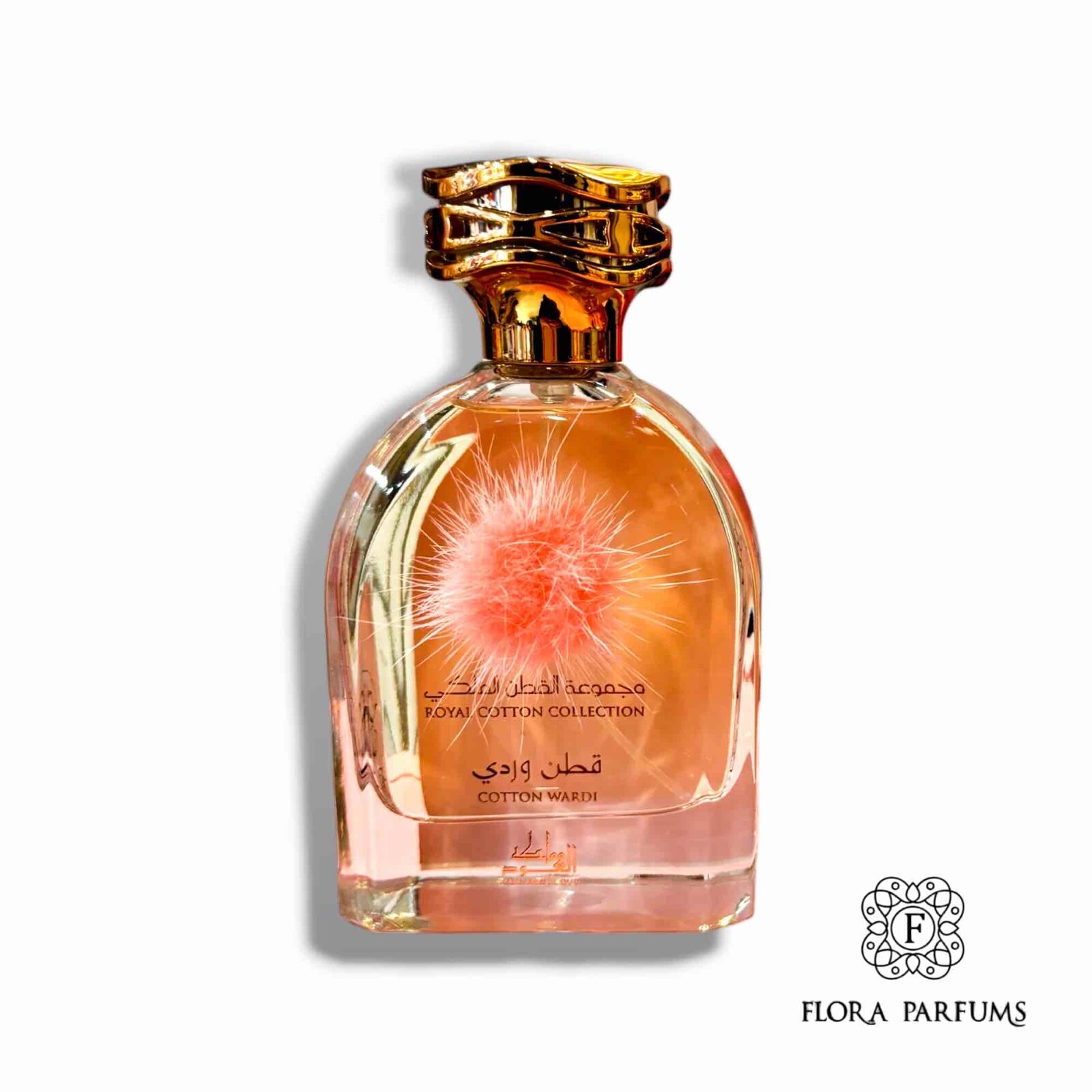 Cotton Wardi Eau de parfum 100ml essence haut de gamme intemporelle