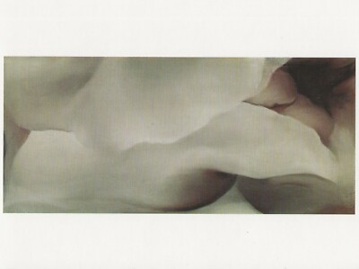 Postcard Georgia O'Keeffe Museum ''Dark Iris No. III'' 1927 O'Keeffe Museum MINT