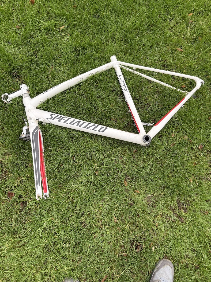 Bicycle Specialized Frame Spares Specialized EN14781 Road Bike - Main Image