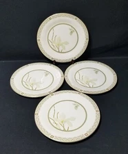 Set of 4 Royal Doulton White Nile Dinner Plates Fine China England 10 1/2" EUC