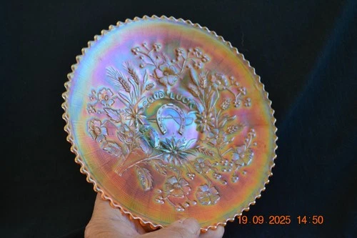 Northwood carnival glass Good Luck plate----marigold