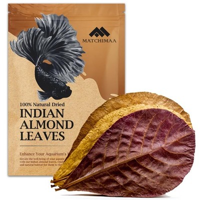 Premium Indian Almond Leave. Aquarium Decorations Size 6-9'' Pack 50g(20-25 Le...