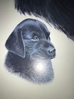 Bild 3 von 19