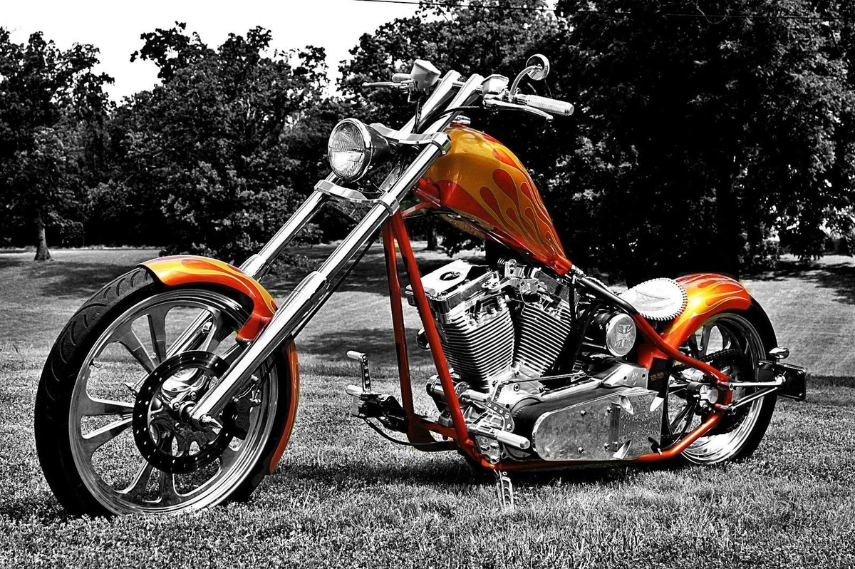 Ebay custom choppers deals