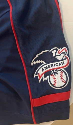 MLB Minnesota Twins Men's L Baseball Jersey No Name or Number - Picture 4 of 8