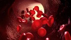 Foto 11 di 12