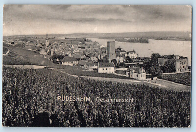 Rüdesheim am Rhein Hesse Germany Postcard Overall View 1908 Antique Posted