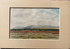 G. Pluthner Aquarell 1909 Koppa...? Who Can Read It? Mountain Landscape Antique