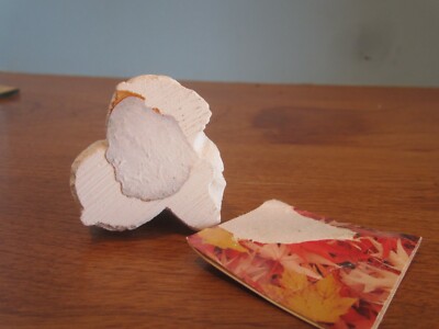 Edmond Wolf Jr. Polar Bear Cubs Figurine Wildlife Collectables