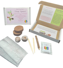 Grow Your Own Deadly Nightshade Atropa belladonna Kit, Eco Friendly