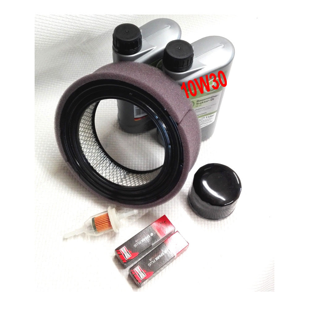 Service Kit für Briggs&Stratton Motor 385777 385446 389446 386777 