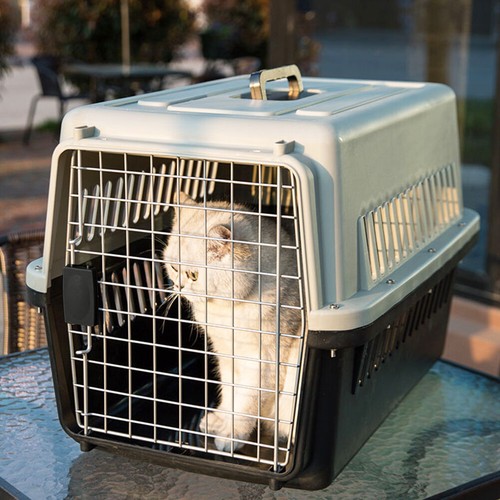 XLarge Dog Cat Travel Carrier Box Portable Puppy Pet Transport Cage Carry Crate