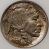 1928-D Buffalo Nickel NGC MS-64 - No-Line Fatty in Perfect Condition! Denver Buffalo