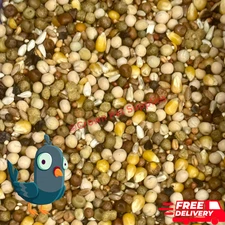 Pigeon Dove Breeder Mix Bird Feed Food Birds in Zipper Bag Different Sizes