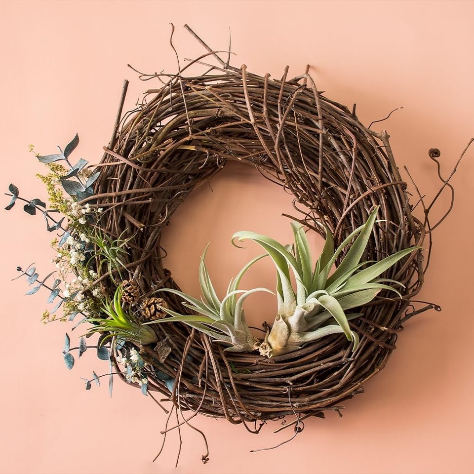 SuperMoss (22605) Natural Orchard Grapevine Wreath – 12 Inch, | eBay