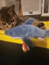 Beanie Baby 1996 Crunch The Shark Tag Error