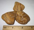 3 TUMBLED POLISHED NATURAL 1.4"-1.9" PICTURE JASPER STONE MINERALS 113.1g *1 (GG — photo 2