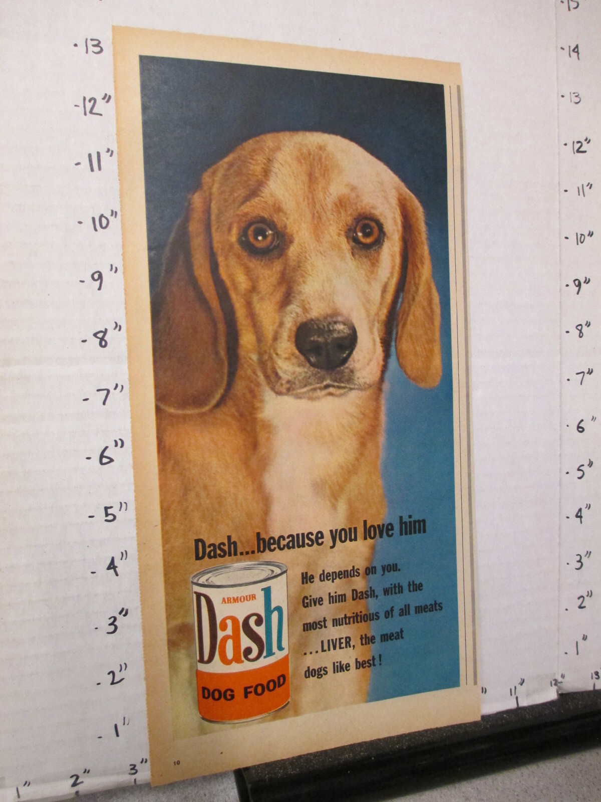 newspaper ad 1957 DASH dog food canned can "because you love him" eBay
