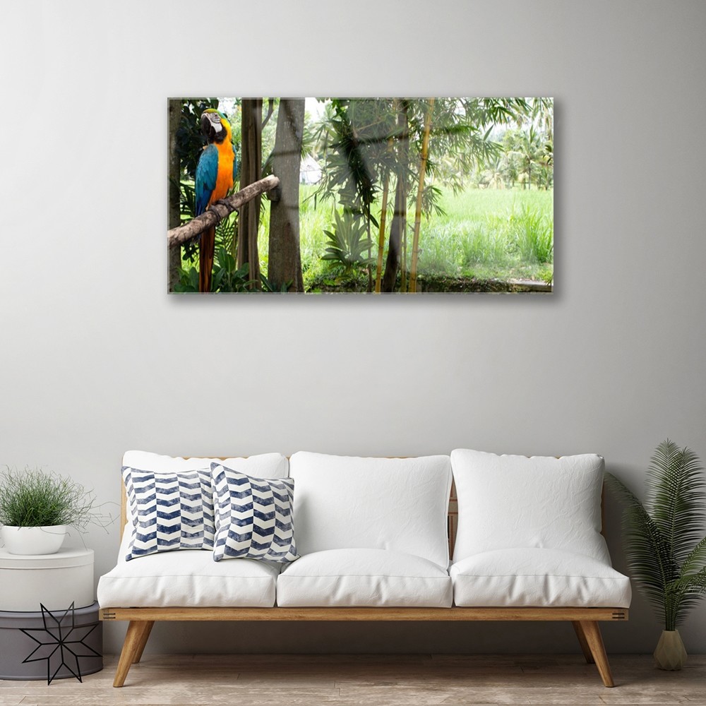Impression sur verre acrylique nature et perroquet pour une ambiance jungle dans votre chambre