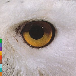 MARI BOINE PERSEN - Gula Gula - CD - **BRAND NEW/STILL SEALED**