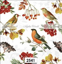  2541 TWO Paper LUNCHEON Decoupage Art Craft Napkins AUTUMN FALL BIRDS BERRIES