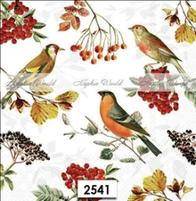 (2541) TWO Paper LUNCHEON Decoupage Art Craft Napkins  AUTUMN FALL BIRDS BERRIES