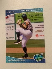 Jared Robinson 2018 Lynchburg Hill Cats Team Card