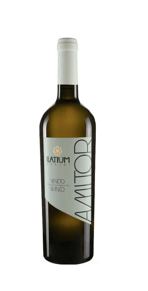 Veneto Bianco Amitor igt Latium