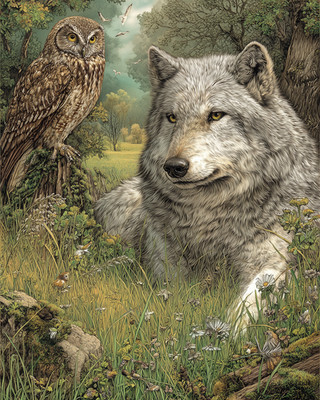 8x10 Gray Wolf, close portrait gaze, soft meadow, painterly, fur - 672140844