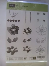 Stampin' Up Penned & Painted stamp set; flowers, ladybug