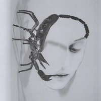 Vinile - Tortoise - Touch - International Anthem Recording Co. -D- Neu