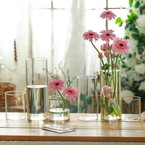 Semplice vaso in vetro cilindrico trasparente infrangibile base