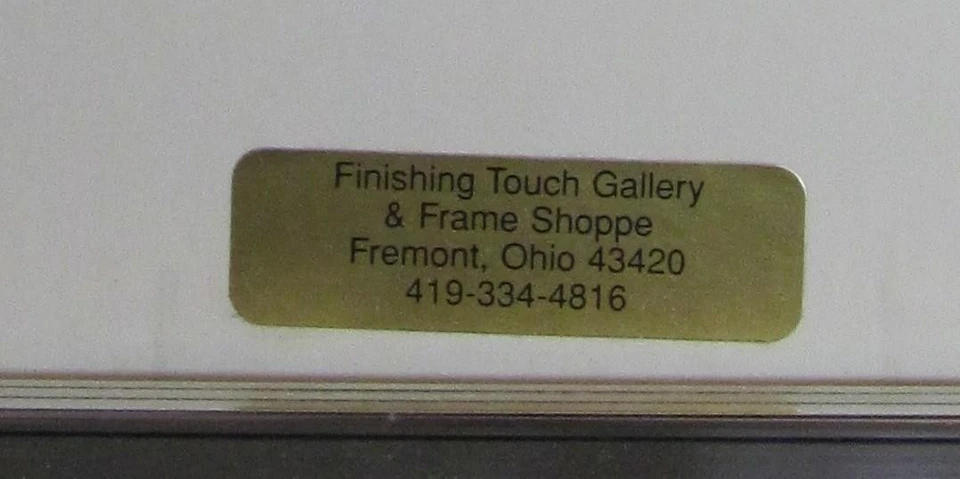 Anne Geddes BEBÉS Profesionalmente Enmarcados en LAVABO Marco Cromo Cepillado Nuevo de Lote Antiguo Foto 3 de 3