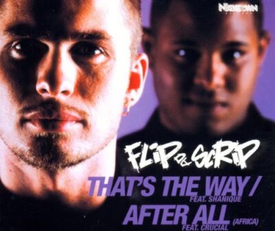 Flip Da Scrip That'S the Way/After All (CD)