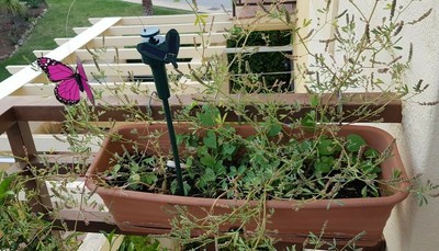 Deko Schmetterling Solar Accessoires Garten Sonne Bewegung Eye Catcher Butterfly Ebay